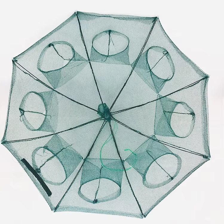 Fish Trap