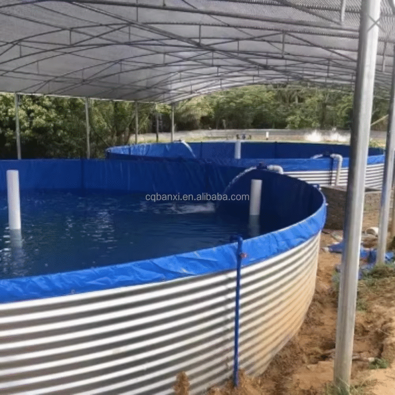 Fish Tank Heavy Duty Plastic Farming Equipment - Image 5